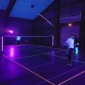 Blackminton (11)