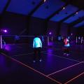 Blackminton (12)