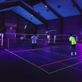 Blackminton (15)