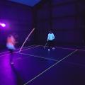 Blackminton (22)
