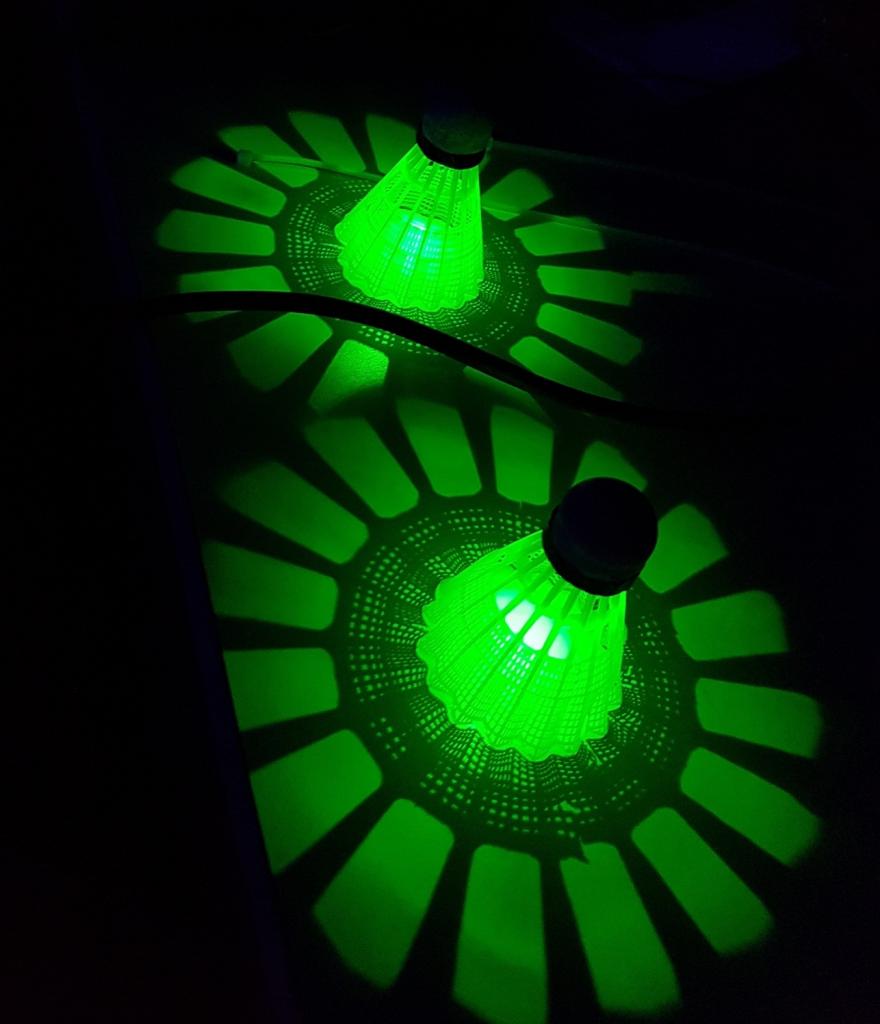 Blackminton (8)